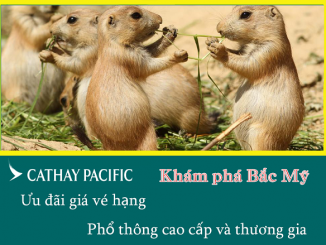 Cathay Pacific ưu đãi giá vé hạng phổ thông cao cấp và thương gia đi Bắc Mỹ